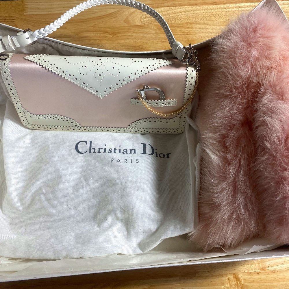 Christian Dior Purse/Clutch